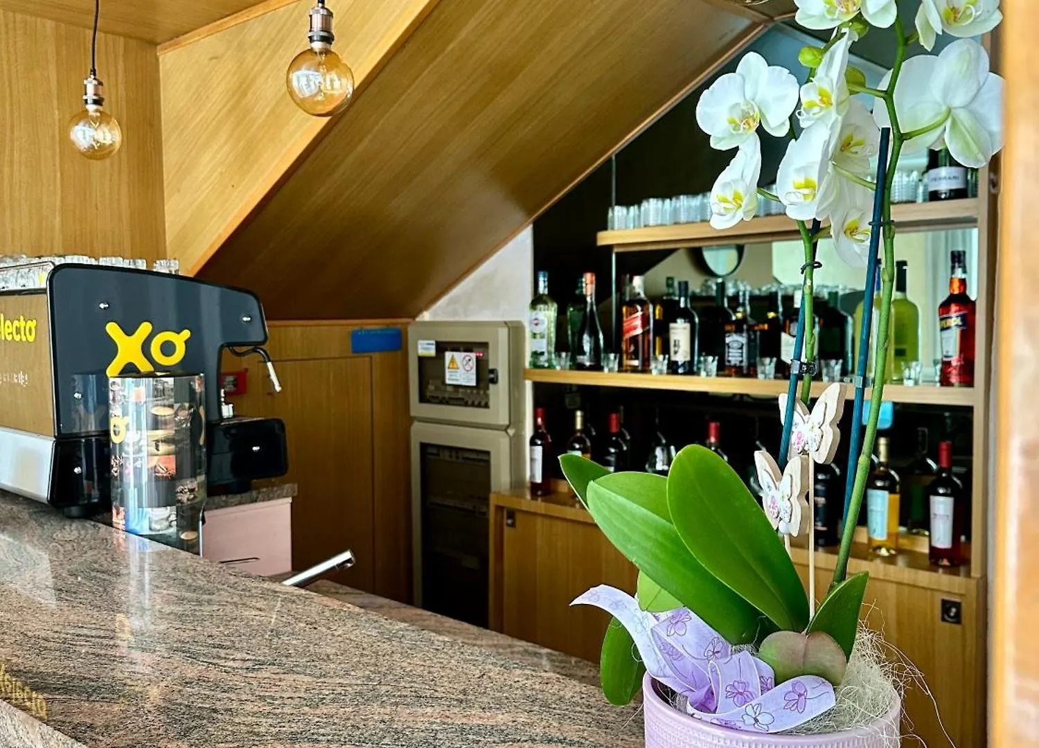 Hotel Enna Rimini